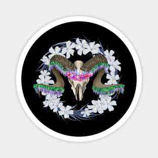 Ram Skull Magnet